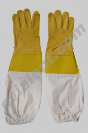 Ventilated Cow Hide Gloves 